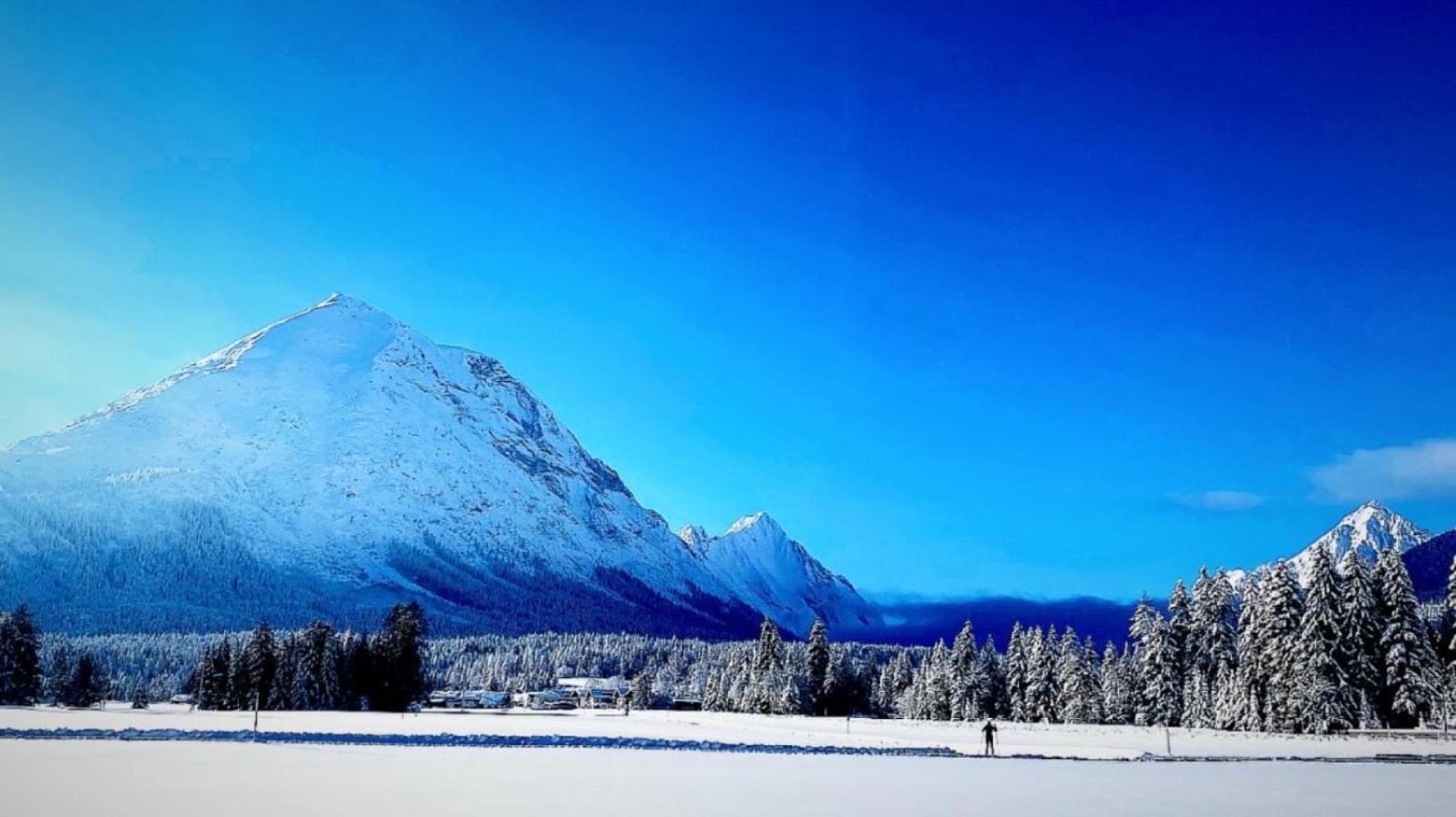 Mountain Apart Katzenkopf Leutasch Exteriör bild